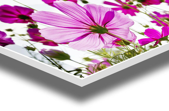 metacrilato 4 mm comercial