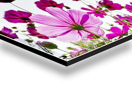 metacrilato 5 mm comercial