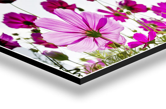 metacrilato 5 mm galeria