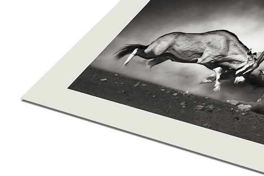 Papel algodao CANSON® INFINITY RAG PHOTOGRAPHIQUE 310 G/M² - MATE