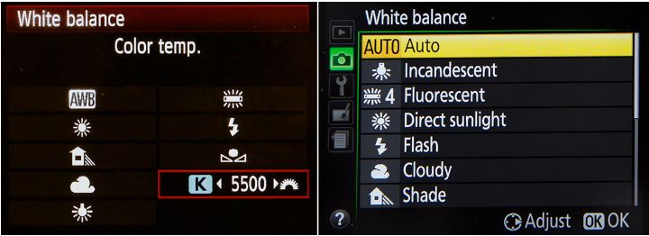 White Balance in camera