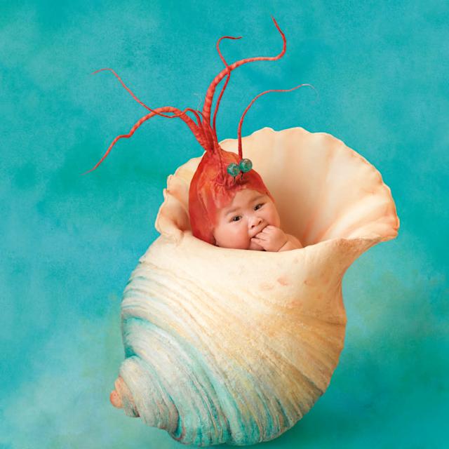 Anne Geddes